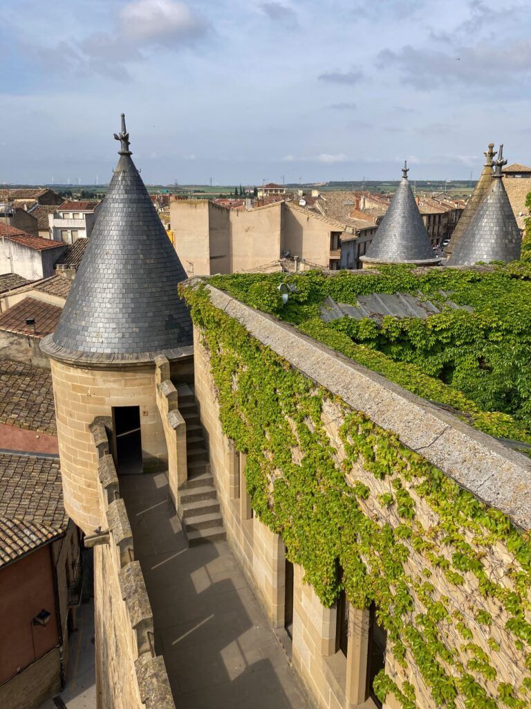 Vistas panorámicas del Palacio Real de Olite