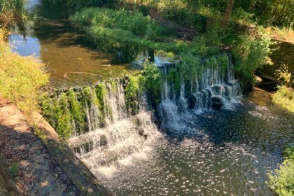Descargamaría en Cáceres, Extremadura