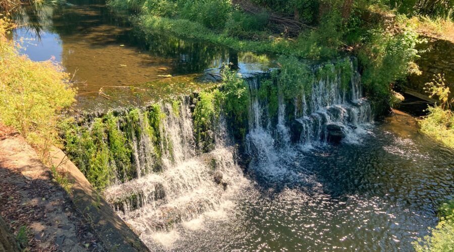Descargamaría en Cáceres, Extremadura