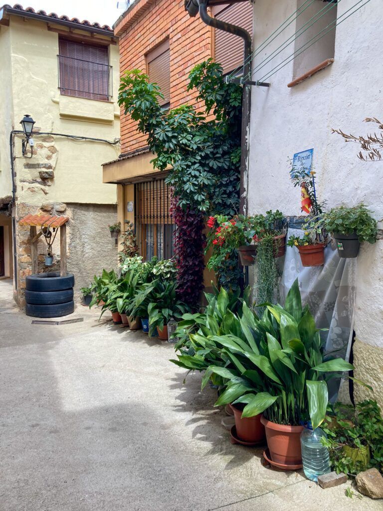 Calles de Torre de Don Miguel