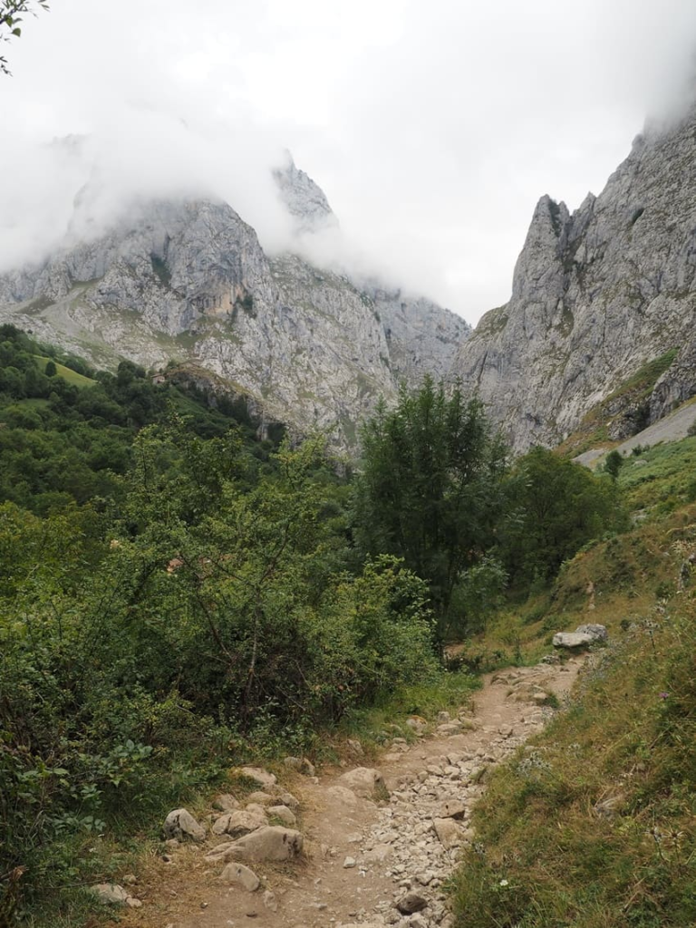 Sendero de piedras de la Canal del Tejo rodeado de vegetación y montañas nubladas en los Picos de Europa.